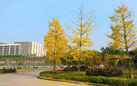 南充職工大學都有哪些熱門專業?供用電技術專業怎么樣
