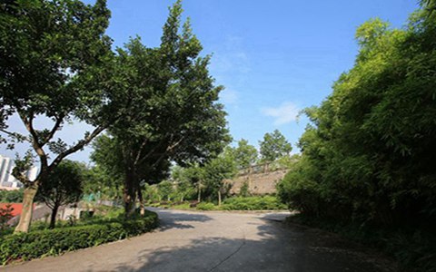 樂(lè)至縣回瀾職業(yè)中學(xué)2023招生專業(yè)有哪些?藥劑專業(yè)好不好