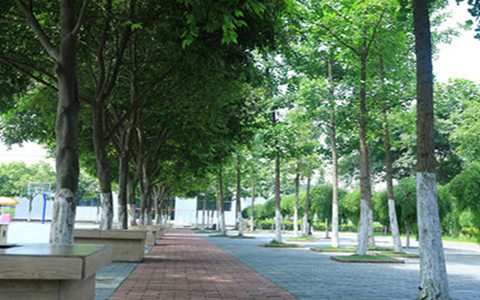 大竹縣中峰職業(yè)技術(shù)學(xué)校2023招生專業(yè)有哪些?汽車運(yùn)用與維修專業(yè)好不好